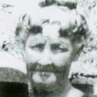 Mary Ann Knox (1855 - 1931) Profile